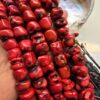 16 MM Şekilsiz Mercan Taşı