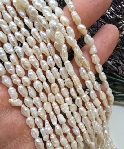 Cakil Tatli Su Dogal İncisi 3