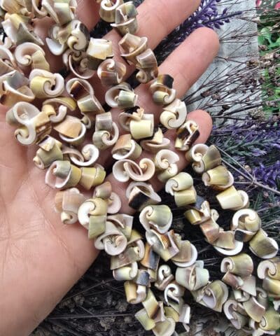 10 Mm Salyangoz Sekilli Dogal Sedef Tasi 501