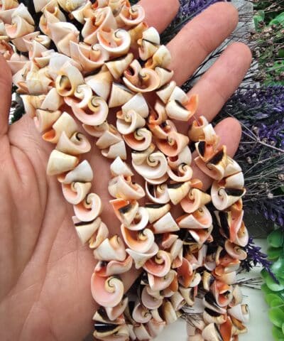 10 Mm Salyangoz Sekilli Dogal Sedef Tasi 502