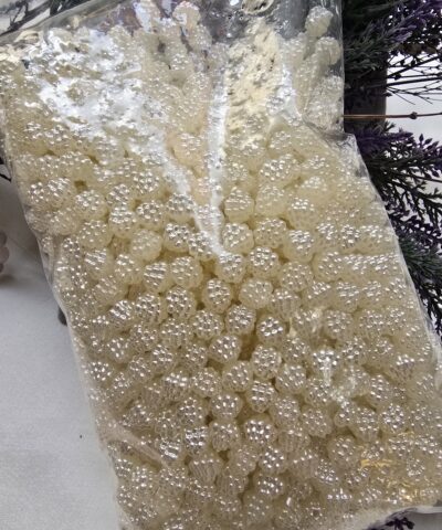 Bogurtlen Sekilli Plastik İnci 4