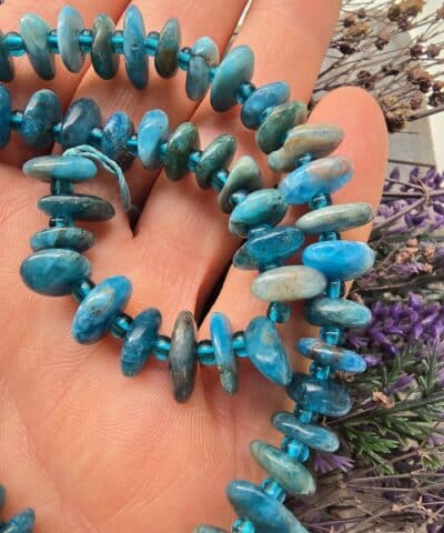 Disk Dogal Apatit Tasi 2