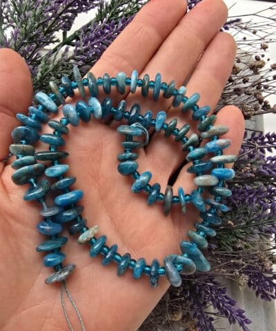 Disk Dogal Apatit Tasi