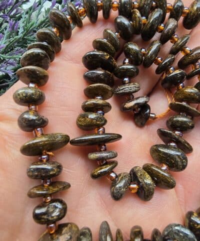 Disk Dogal Bronzit Tasi 3