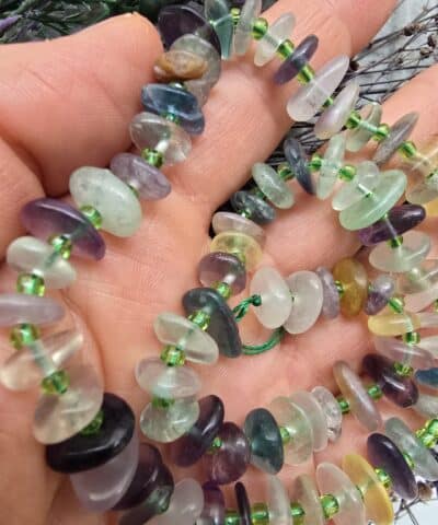 Disk Dogal Florit Tasi 2