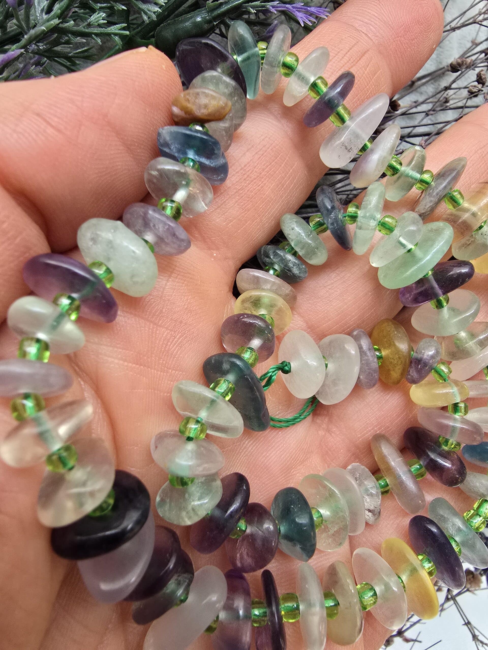 Disk Dogal Florit Tasi 2