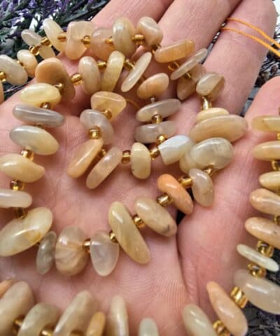 Disk Dogal Gunes Tasi 2