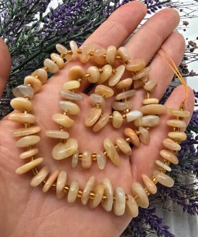 Disk Dogal Gunes Tasi