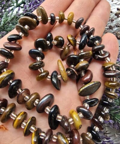 Disk Dogal Kaplan Gozu Tasi 2