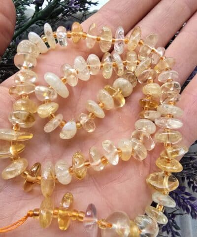 Disk Dogal Sitrin Tasi 2