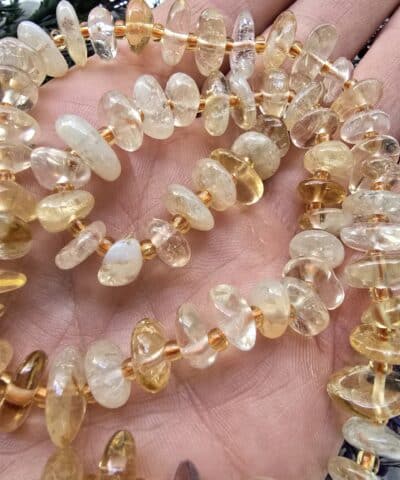 Disk Dogal Sitrin Tasi 3