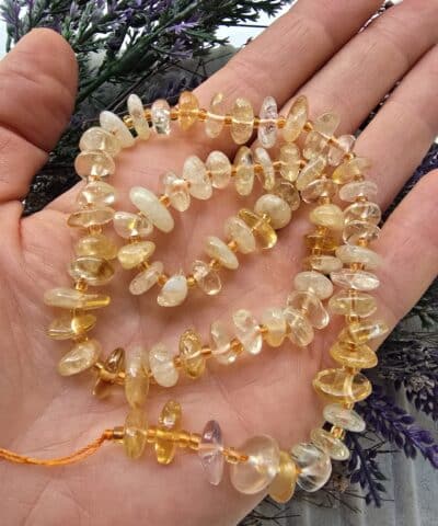 Disk Dogal Sitrin Tasi