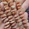 Ham Disk Dogal Gunes Tasi 3