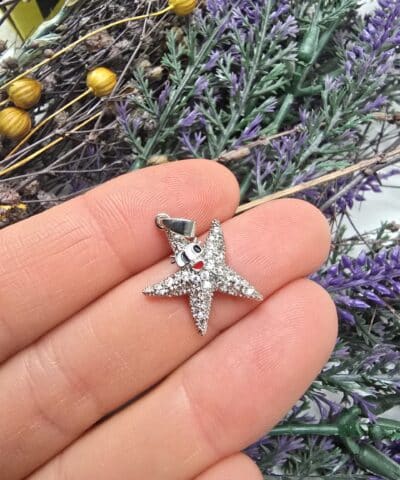 Sevimli Yildiz Zirkon Tasli Charm Gumus