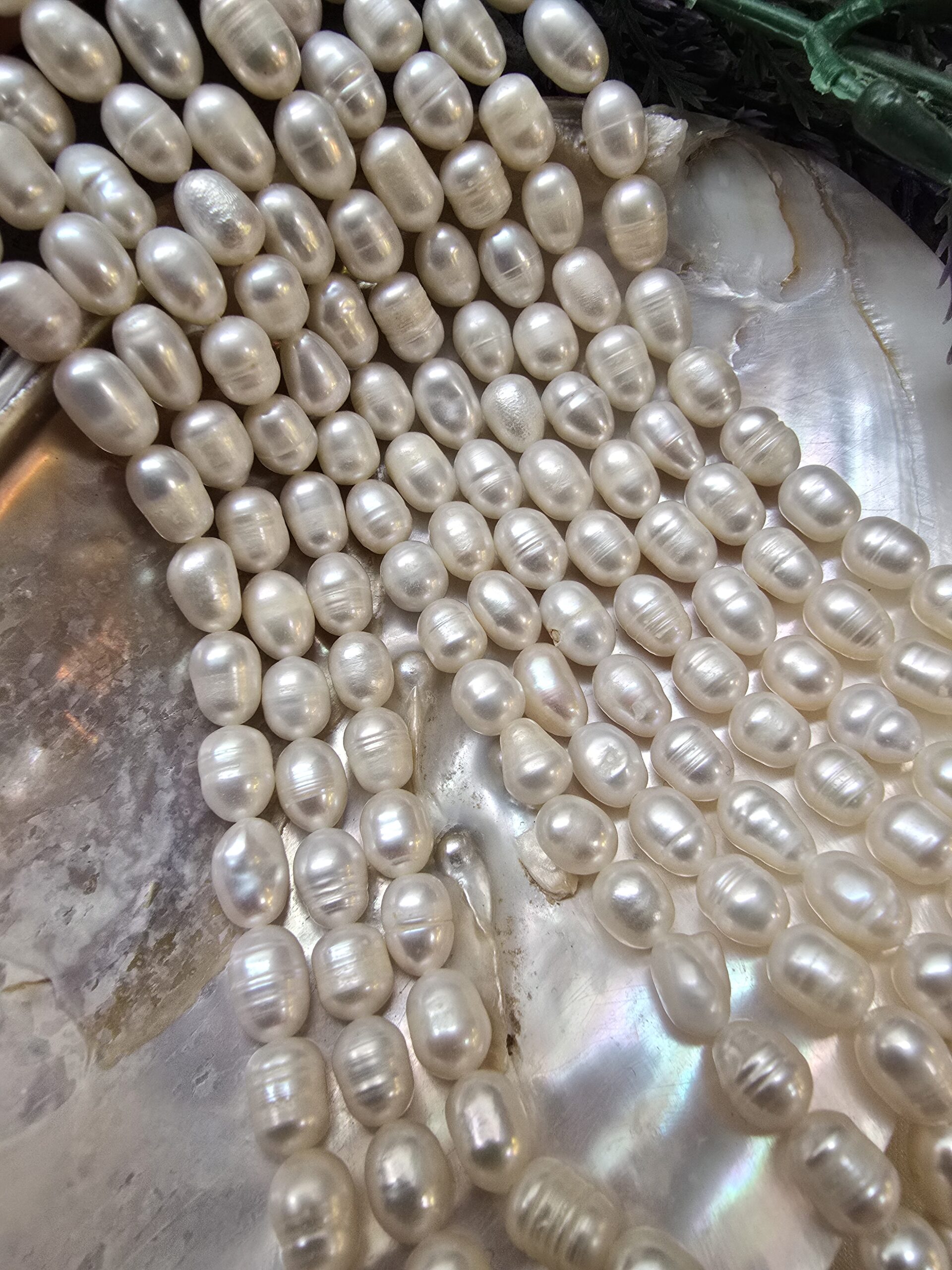 6x8 MM Premium Arpa Doğal İnci - Görsel 3