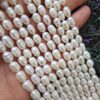 6x8 Mm Premium Arpa Dogal İnci