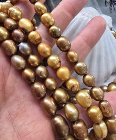9x11 Mm Gold Renkli Arpa Dogal İnci 2