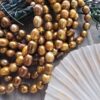 9x11 Mm Gold Renkli Arpa Dogal İnci 4