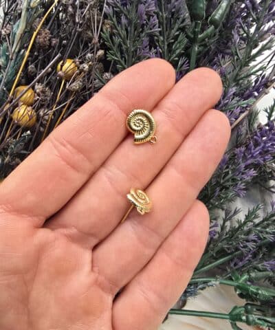 Salyangoz Basli Kupe Aparati