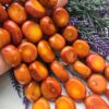20x10 MM Oval Mercan Taşı - Görsel 3