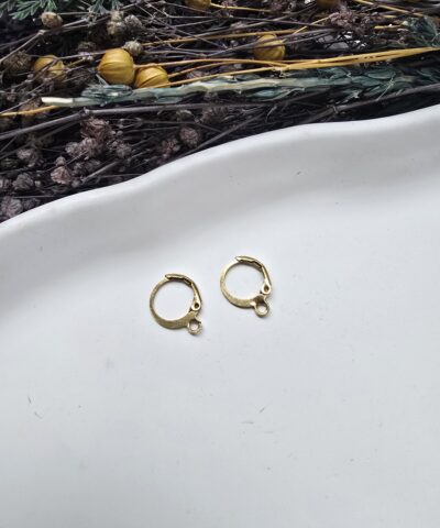 Klasik Çelik Hakla Küpe - Gold