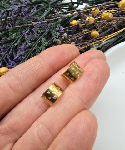 10 MM Çelik Yıldızlı Kıkırdak Küpe Aparatı - 502