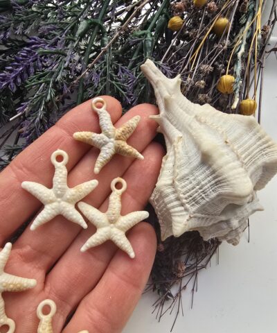 2 CM Natural Akrilik Deniz Yıldızı