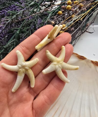 40 MM Deniz Yıldızı Şekilli Akrilik Boncuk