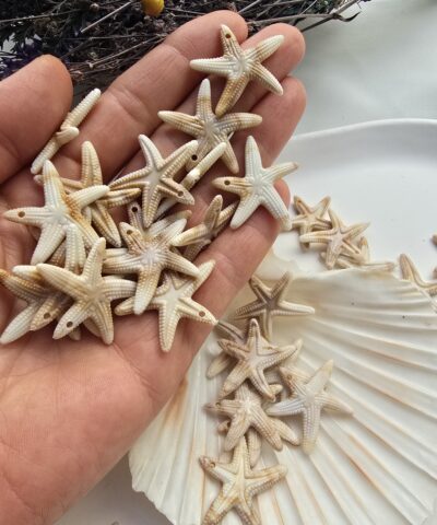 30 MM Deniz Yıldızı Şekilli Akrilik Boncuk