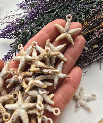 3 CM Natural Deniz Yıldızı