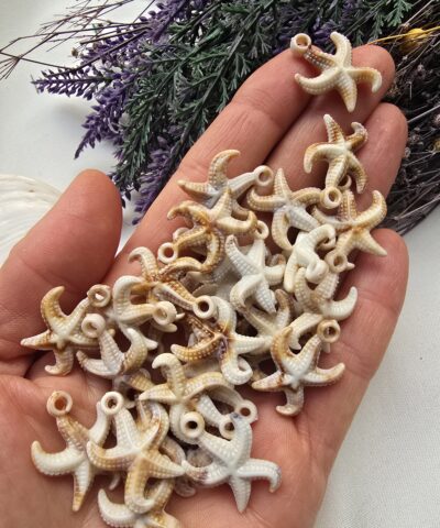 2 CM Natural Deniz Yıldızı