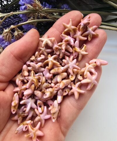 13 MM Pembe Renkli Deniz Yıldızı Akrilik Boncuklar