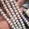 7 MM Oval Tatlı Su Barok Doğal İnci - Görsel 3