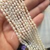 3x4 MM Arpa Beyaz Doğal Barok İnci - Görsel 3