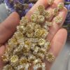 10x4 MM Beyaz Baget Taşlı Altın Kaplama Silindir - Görsel 2