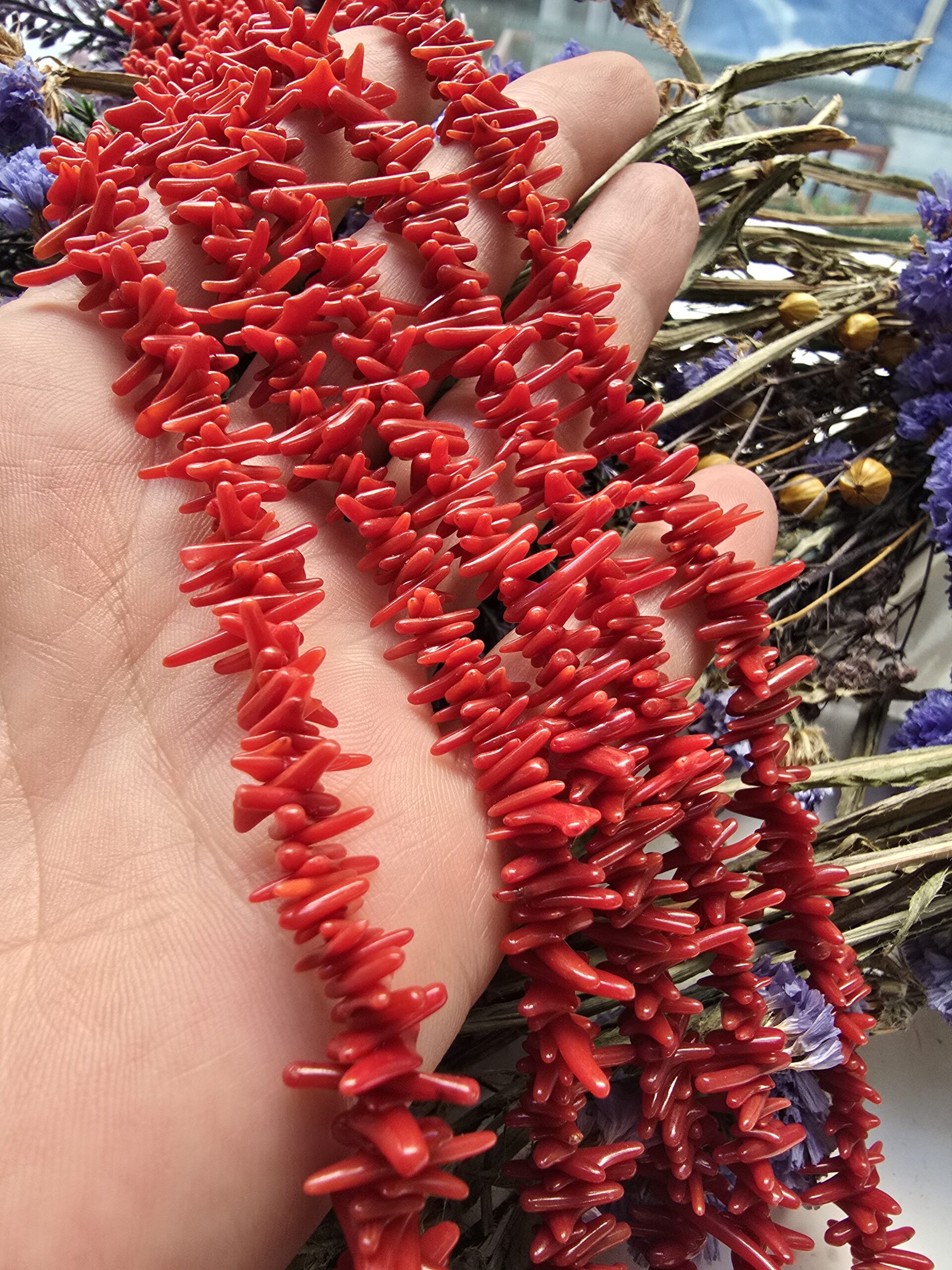 İnce Diş Mercan Taşı - Görsel 2
